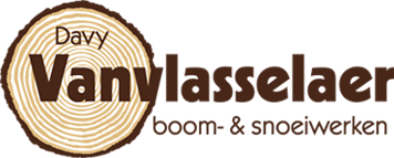 Boom- en snoeiwerken Davy Vanvlasselaer